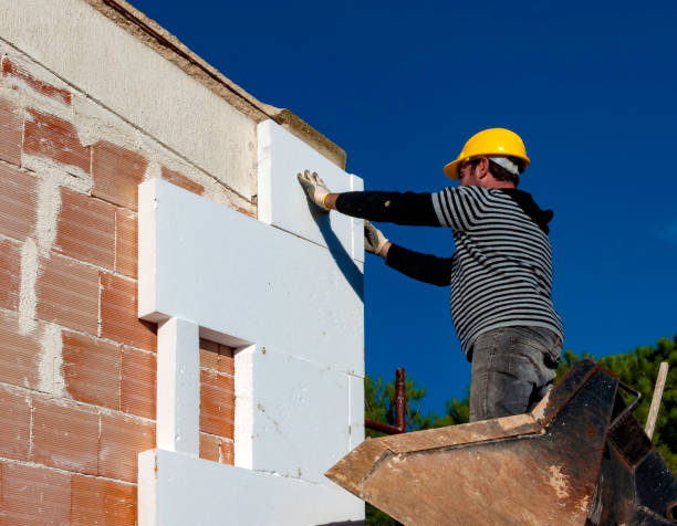 Best Insulation Installation Services in Lewiston, MN